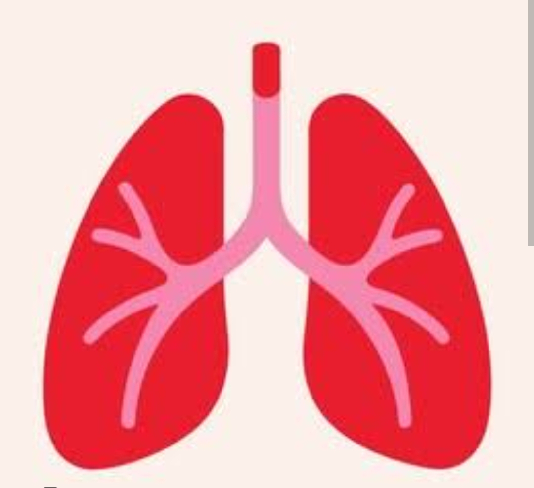 RESPIRATORY